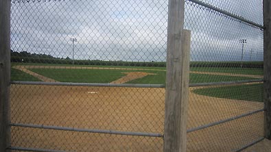 Ultimate Strat Baseball - Photo of Backstop of the Baseball Field on the Fields of Dreams Movie Site, July 2016, Wolfman Shapiro