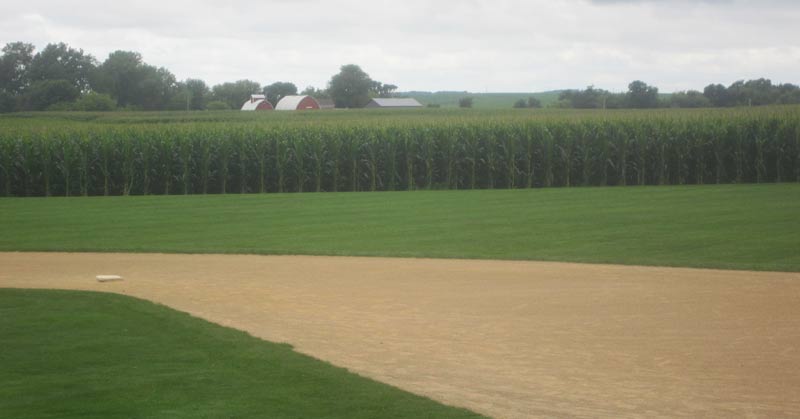 Ultimate Strat Baseball - Photo of the corn field in the outfield  of the Baseball Field on the Fields of Dreams Movie Site, July 2016, Wolfman Shapiro