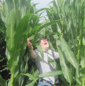 Ultimate Strat Baseball - Photo of Center Field Corn Field of the Baseball Field on the Fields of Dreams Movie Site, July 2016, with Wolfman Shapiro, photo #4